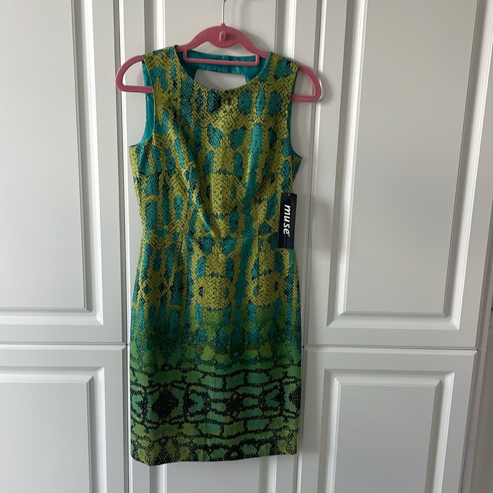 NWT Patterned Muse Dress